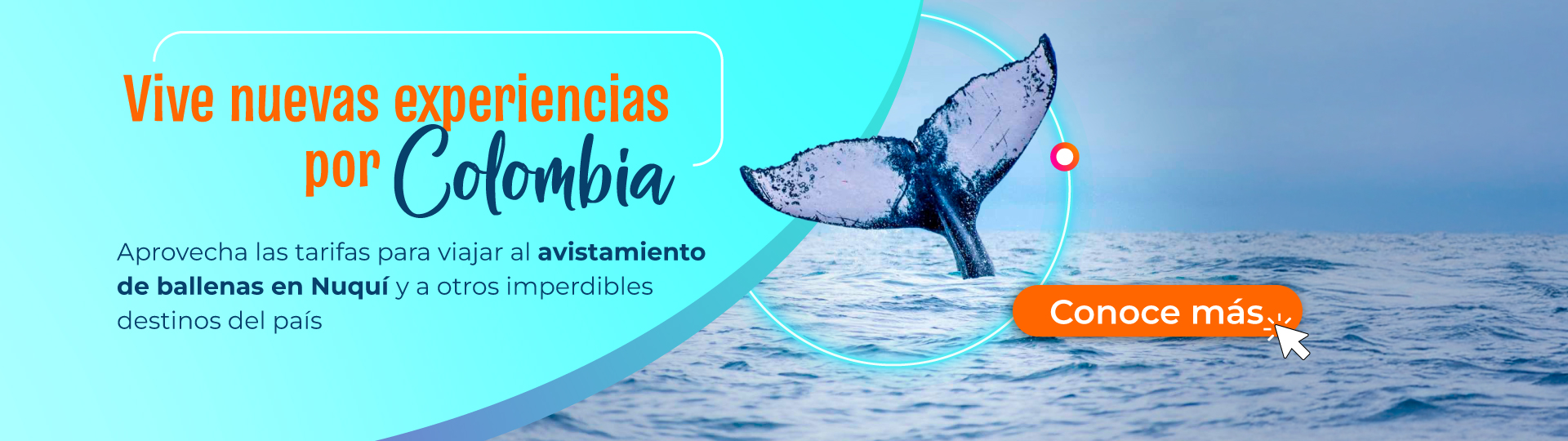 Aprovecha las tarifas para viajar al avistamiento de ballenas en Nuquí
