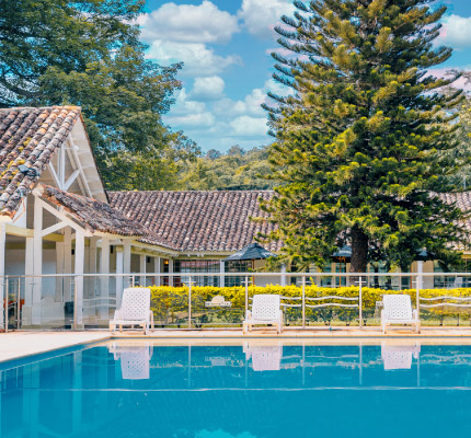Hotel Las Palmeras
