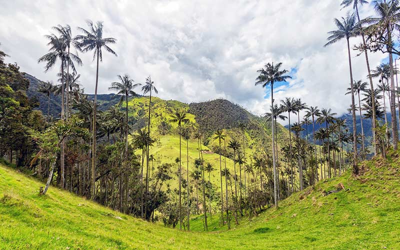 Eje cafetero