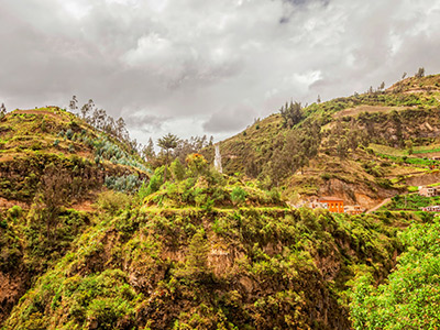 Maravilla Verde del Eje Cafetero