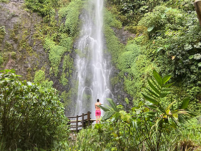 Paraíso Cafetero