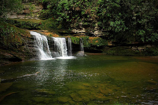 Kindiwaira