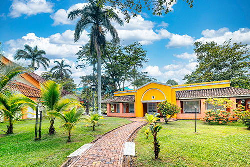 Camino de ladrillos rodeado de plantas con diferentes matices de verdes y amarillos, prados, palmeras altas y una casa del centro vacacional y hotel Las Palmeras