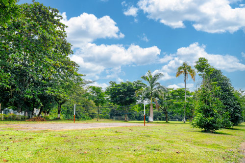 Campo del centro vacacional y hotel Las Palmeras donde se puede ver un prado amplio con árboles, palmeras y un espacio para jugar voleibol