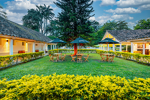Jardín del centro vacacional Las Palmeras, en el cual hay tres mesas con sombrillas verdes ubicadas en la mitad del pasto junto con un pino rodeado por arbustos amarillentos y por tres cabañas del hotel