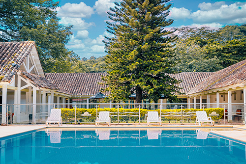 Piscina del hotel y centro vacacional Las Palmeras en donde se pueden ver cuatro sillas de playa ubicadas cerca a la orilla, delante de la reja que separa el jardín del pino de la zona de la piscina