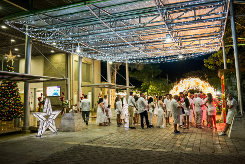 Grupo de personas reunidas en la entrada de un salón decorado con luces y un árbol de Navidad, participando en una tradicional novena navideña al aire libre en la noche