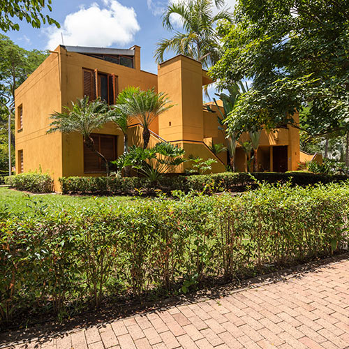 Edificio de color amarillo mostaza de dos pisos, a su alrededor hay una zona verde, arbustos y palmeras
