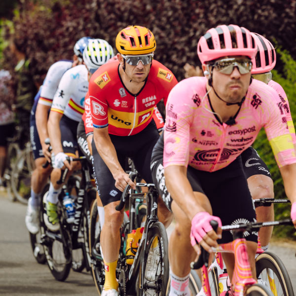 Grupo de ciclistas aferrados a los manubrios de sus bicicletas, avanzan por la carretera de una de las competencias de los paquetes de turismo deportivo de Compensar. Alrededor se ven algunos árboles