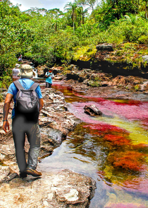 Caño cristales