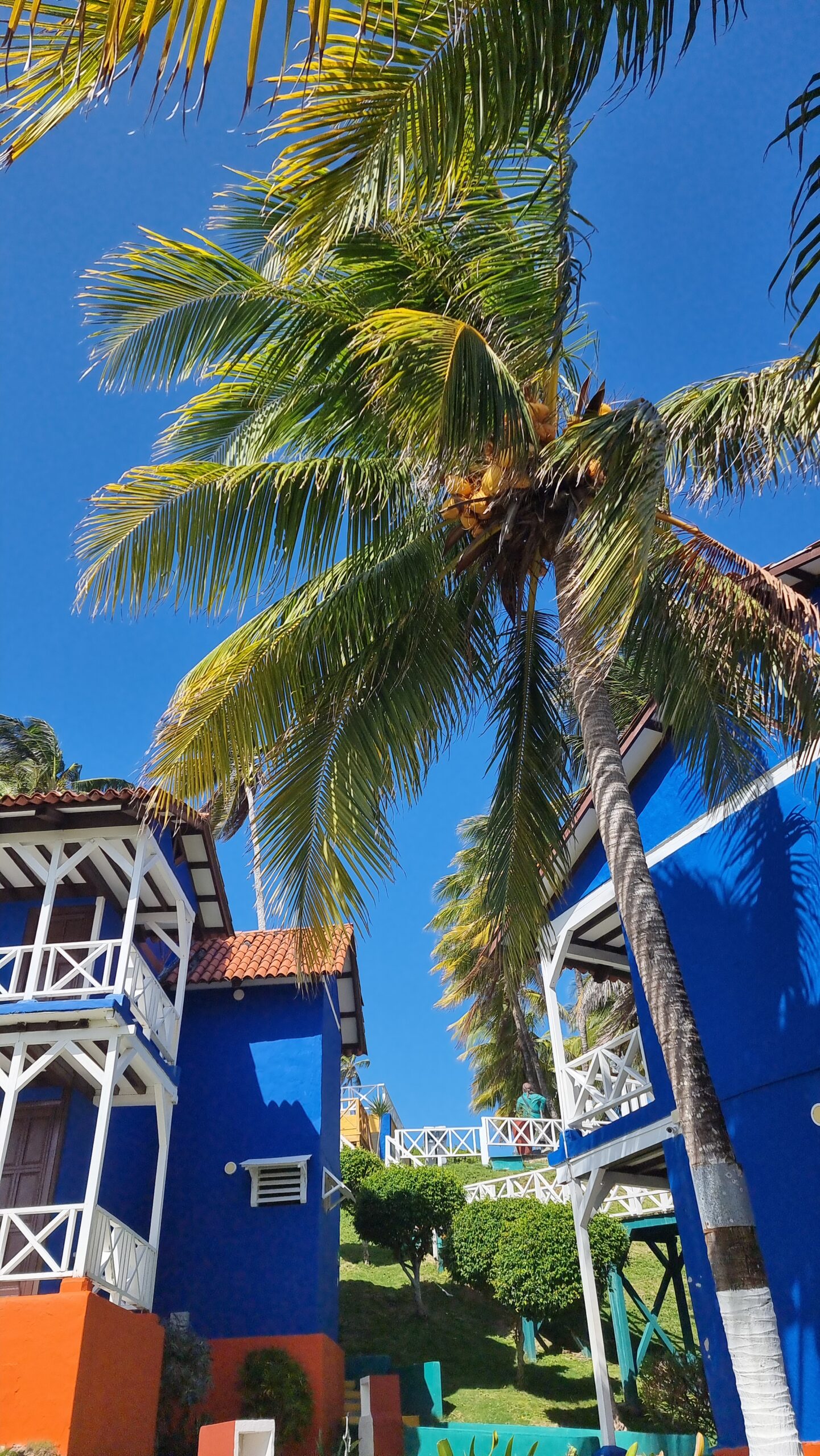 Vista exterior del hotel rodeado de palmeras en San Andrés, opción ideal para quienes buscan ofertas de Hoteles Sol Caribe cerca de zonas turísticas de la isla
